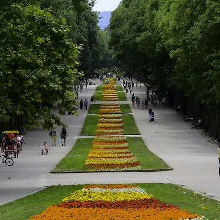 Sea Garden